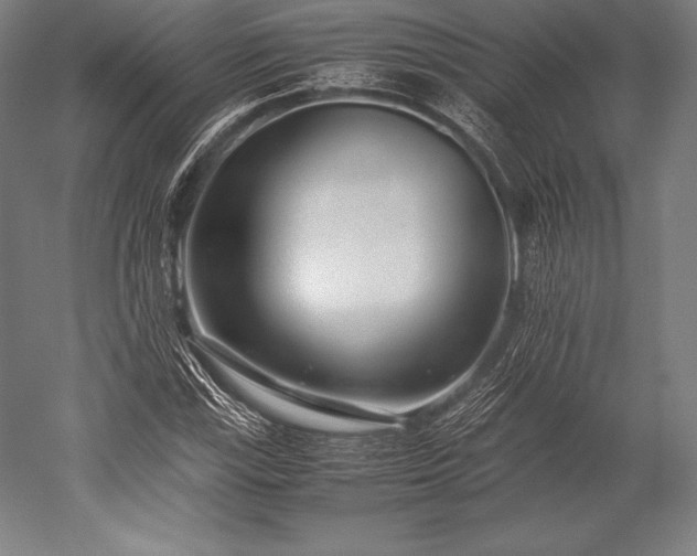 X0000052551115200507081602