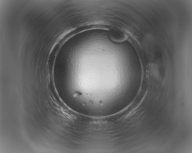 X0000052551117200507081602