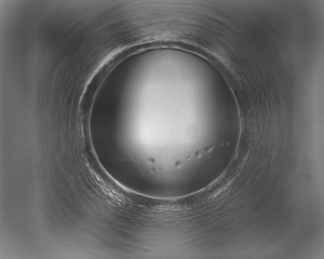 X0000052551118200507081602