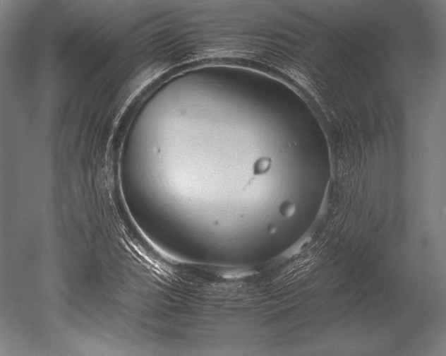 X0000052551119200507081602