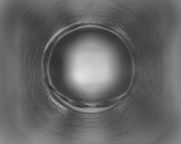 X0000052551120200507081602