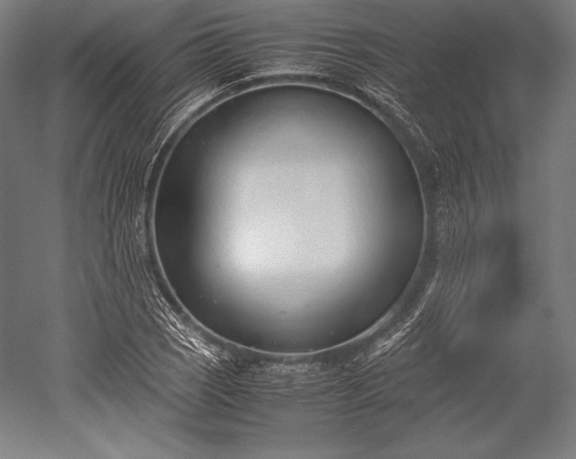 X0000052551121200507081602