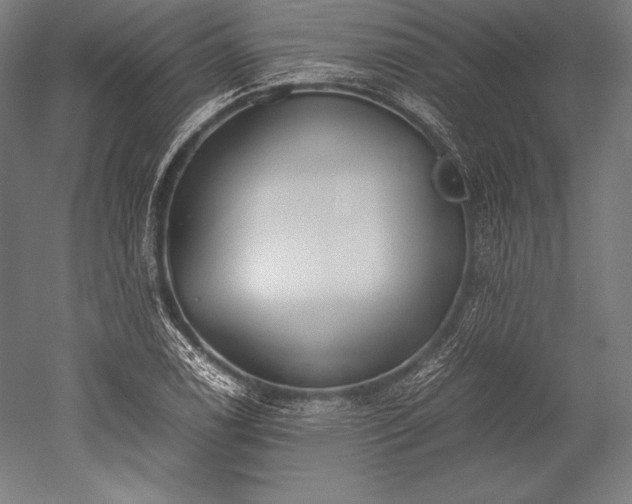 X0000052551122200507081602