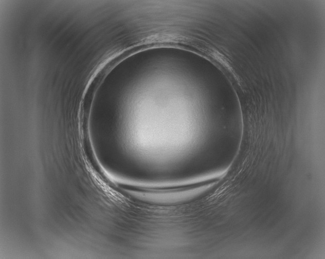 X0000052551124200507081602