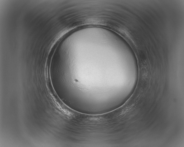 X0000052551125200507081602