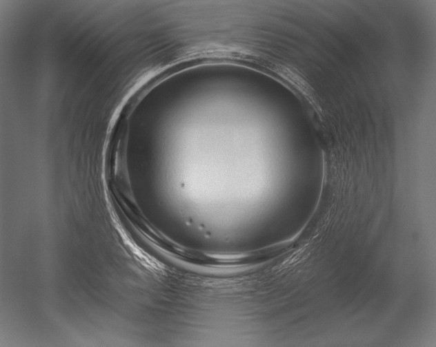 X0000052551128200507081602