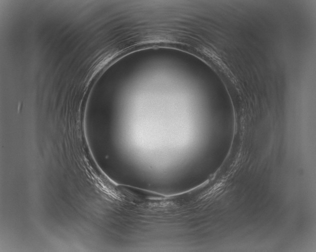 X0000052551129200507081602