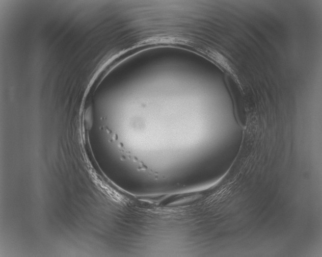 X0000052551132200507081602