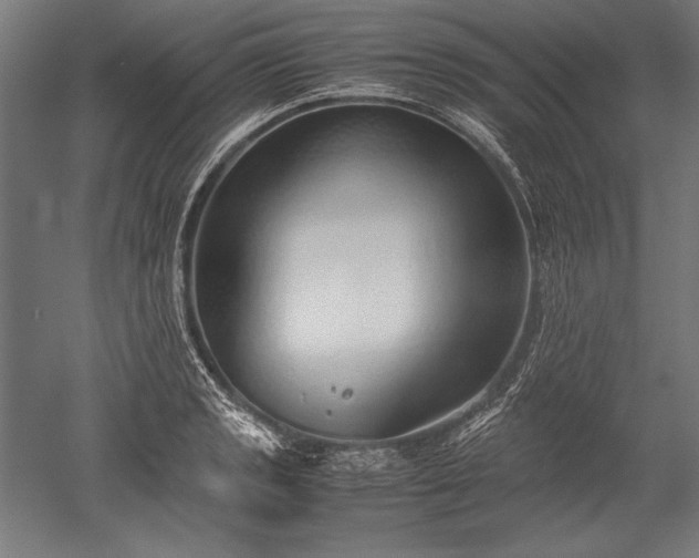 X0000052551133200507081602