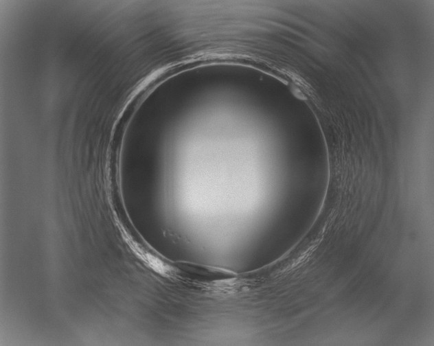 X0000052551134200507081602