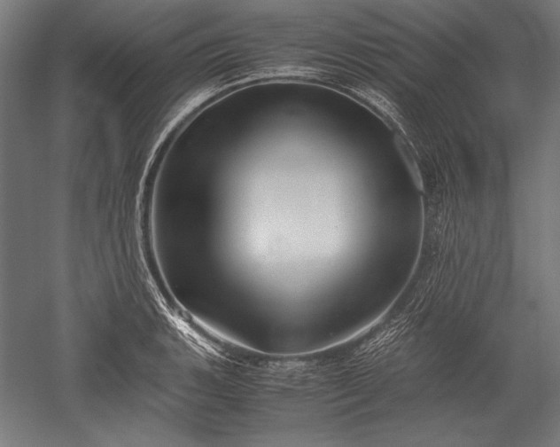 X0000052551135200507081602