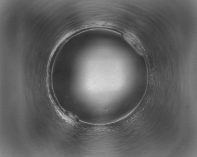 X0000052551136200507081602