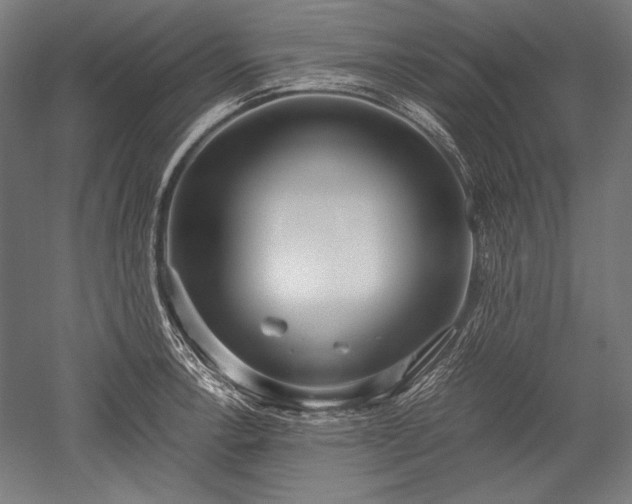 X0000052551138200507081602