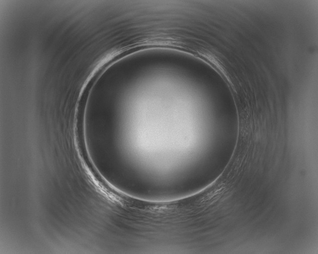 X0000052551139200507081602