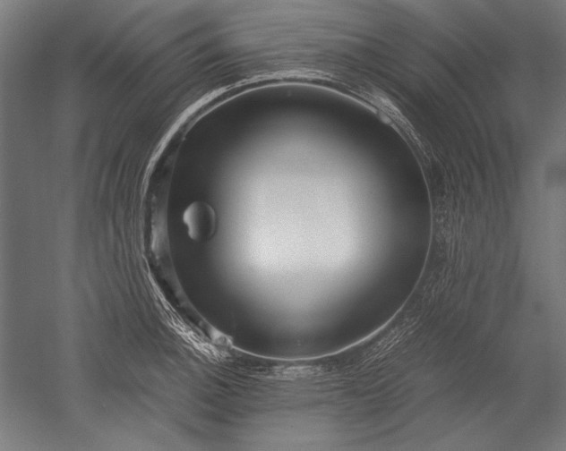 X0000052551140200507081602