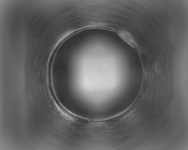 X0000052551143200507081602