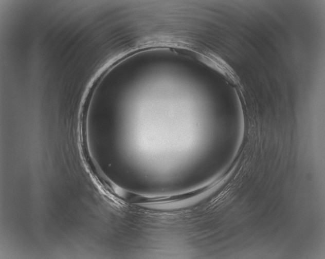 X0000052551144200507081602