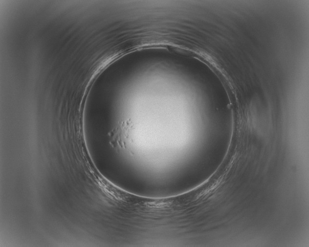 X0000052551145200507081603