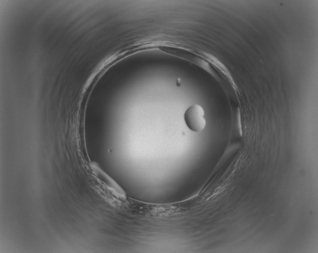 X0000052551146200507081603