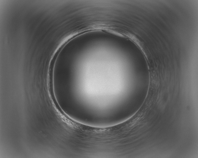 X0000052551147200507081603