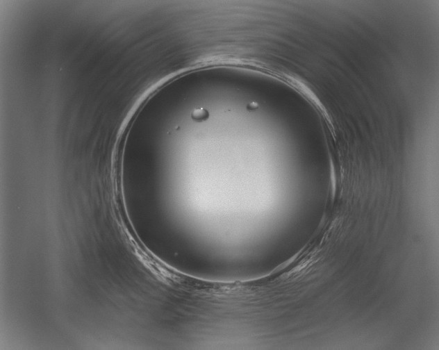 X0000052551148200507081603