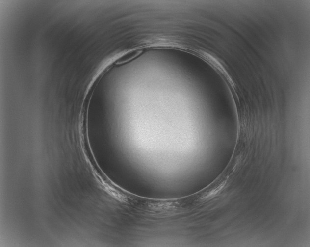 X0000052551149200507081603