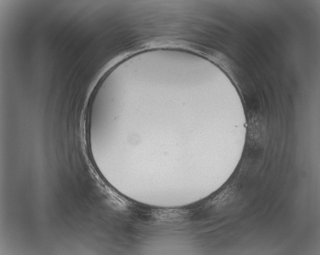 X0000052551150200507081603