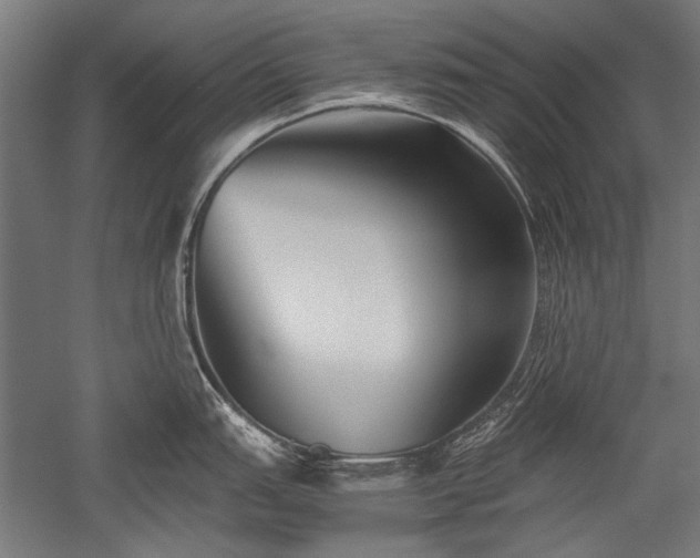 X0000052551151200507081603