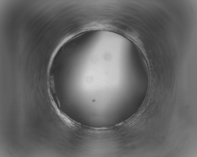 X0000052551152200507081603