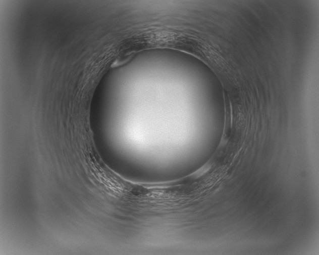 X0000052551153200507081602