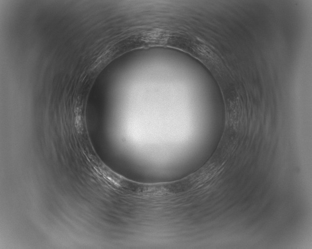 X0000052551154200507081602