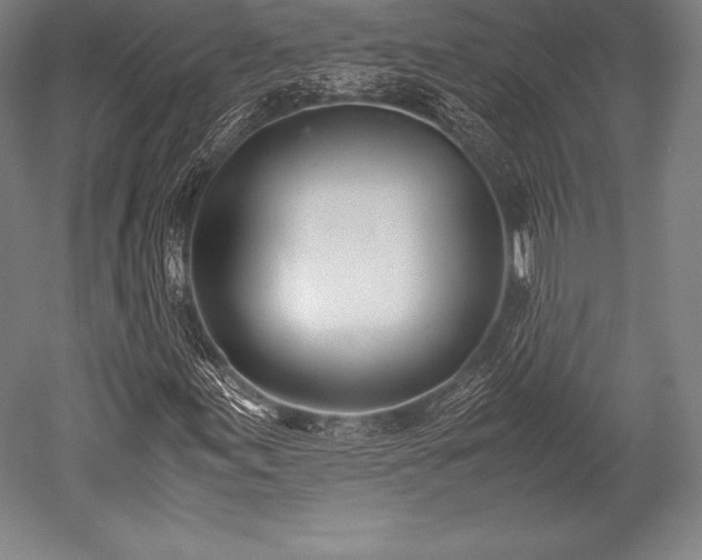 X0000052551155200507081602