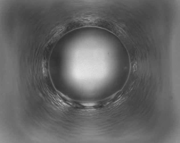 X0000052551156200507081602