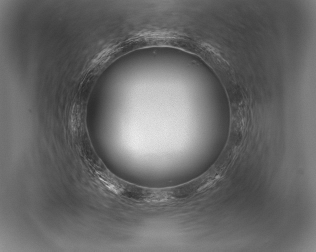 X0000052551157200507081602