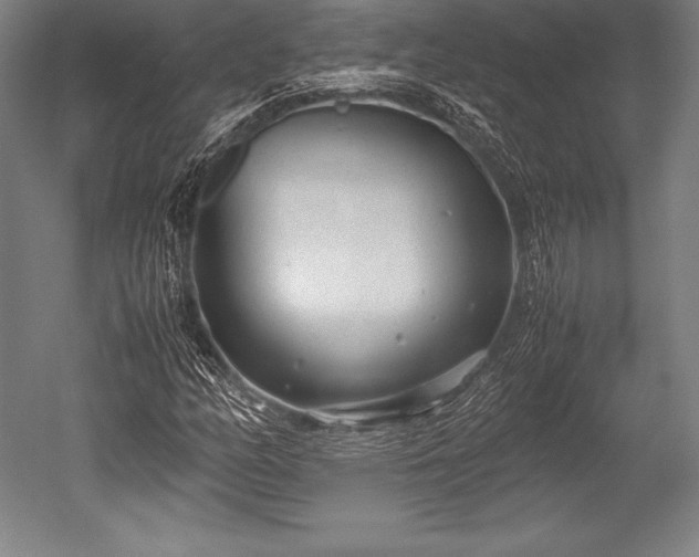 X0000052551158200507081602