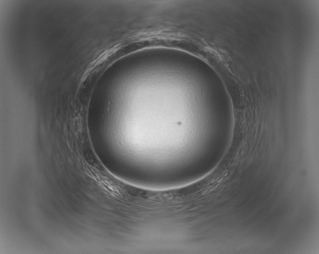 X0000052551159200507081602