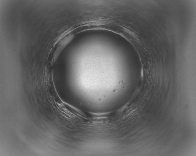 X0000052551160200507081602