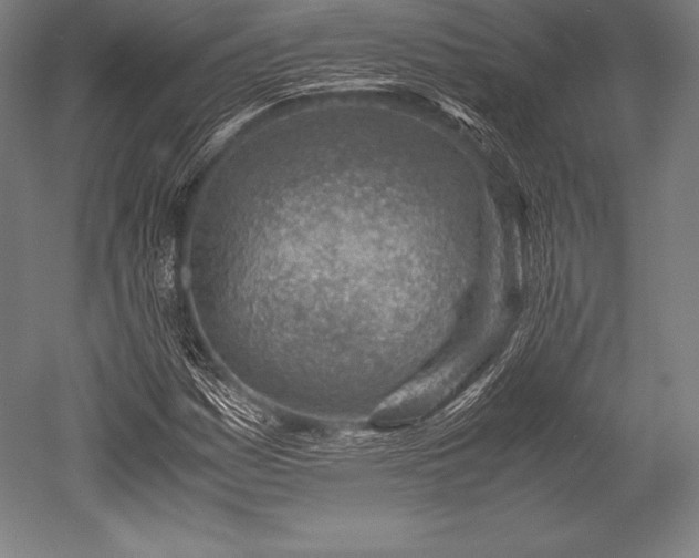 X0000052551161200507081602