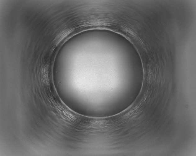 X0000052551162200507081602