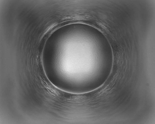 X0000052551163200507081602