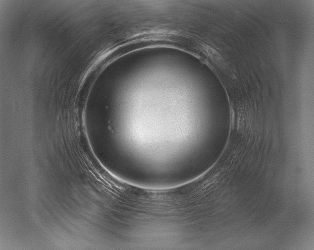 X0000052551164200507081602