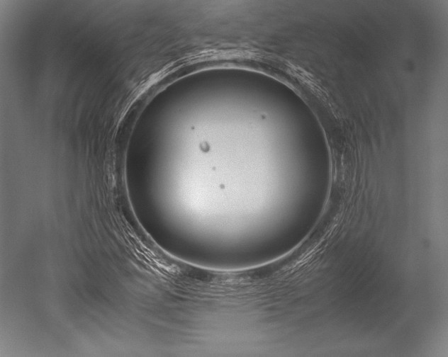 X0000052551165200507081602