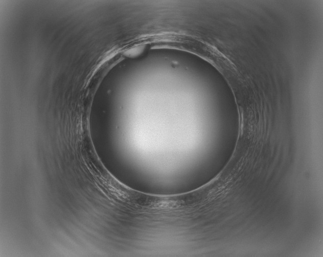 X0000052551166200507081602