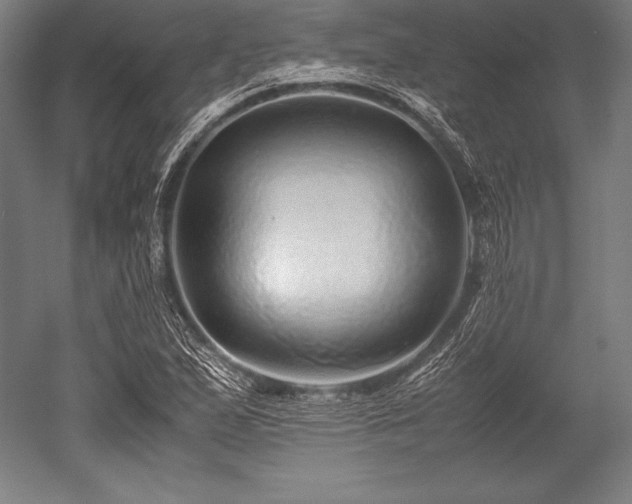 X0000052551167200507081602