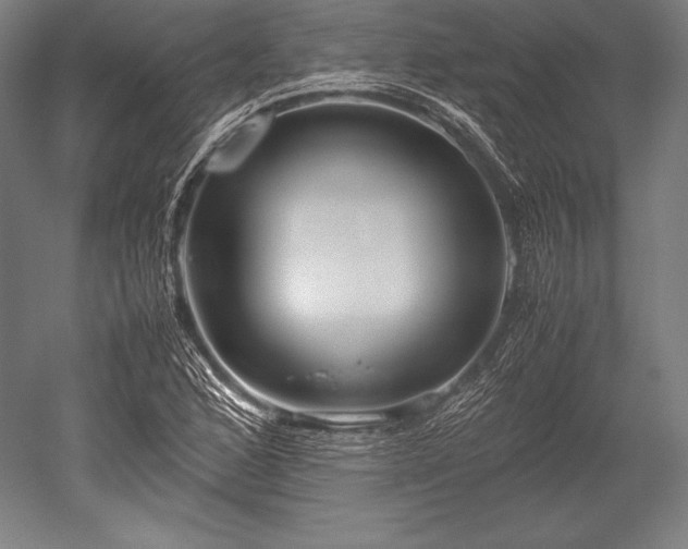 X0000052551168200507081602