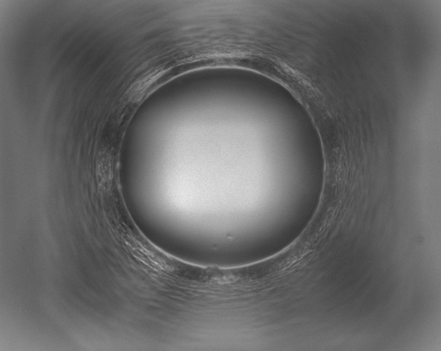 X0000052551169200507081602