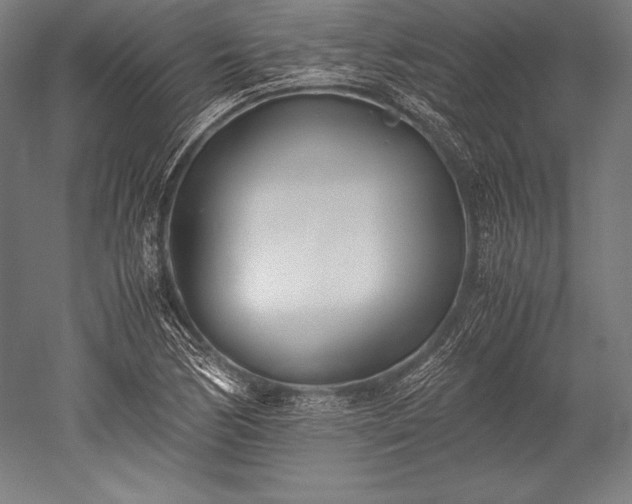 X0000052551170200507081602