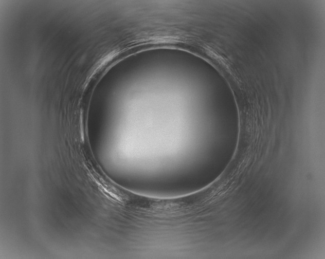 X0000052551171200507081602