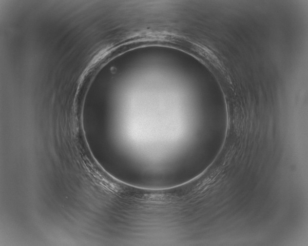 X0000052551172200507081601