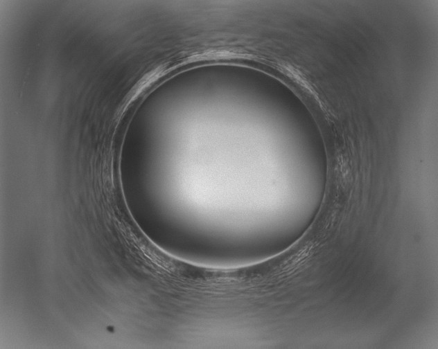 X0000052551173200507081601